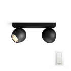 Philips Hue Buckram Taklampa 2L