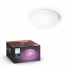 Philips Hue Flourish Taklampa