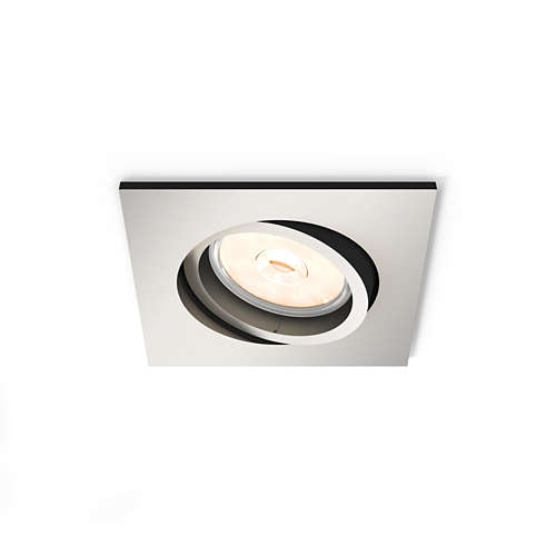 Philips DONEGAL recessed nickel 1xNW 230V