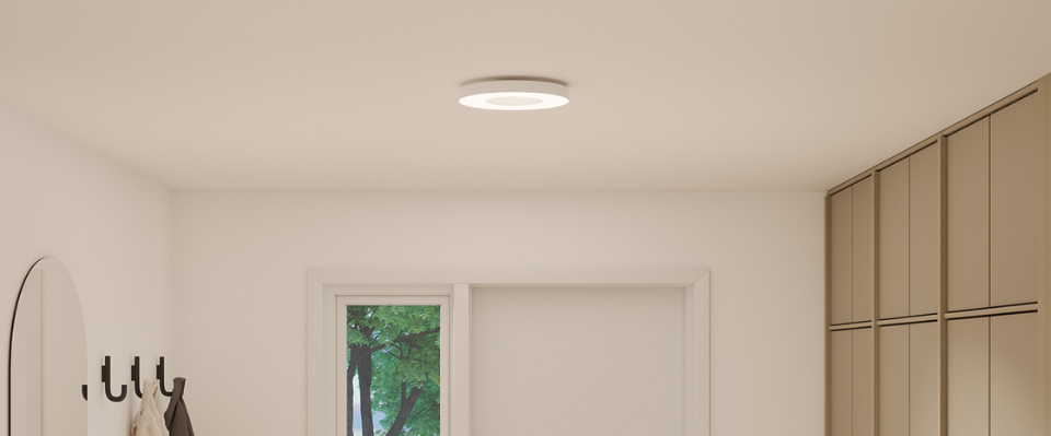 Taklampa och plafond som belysning i hall